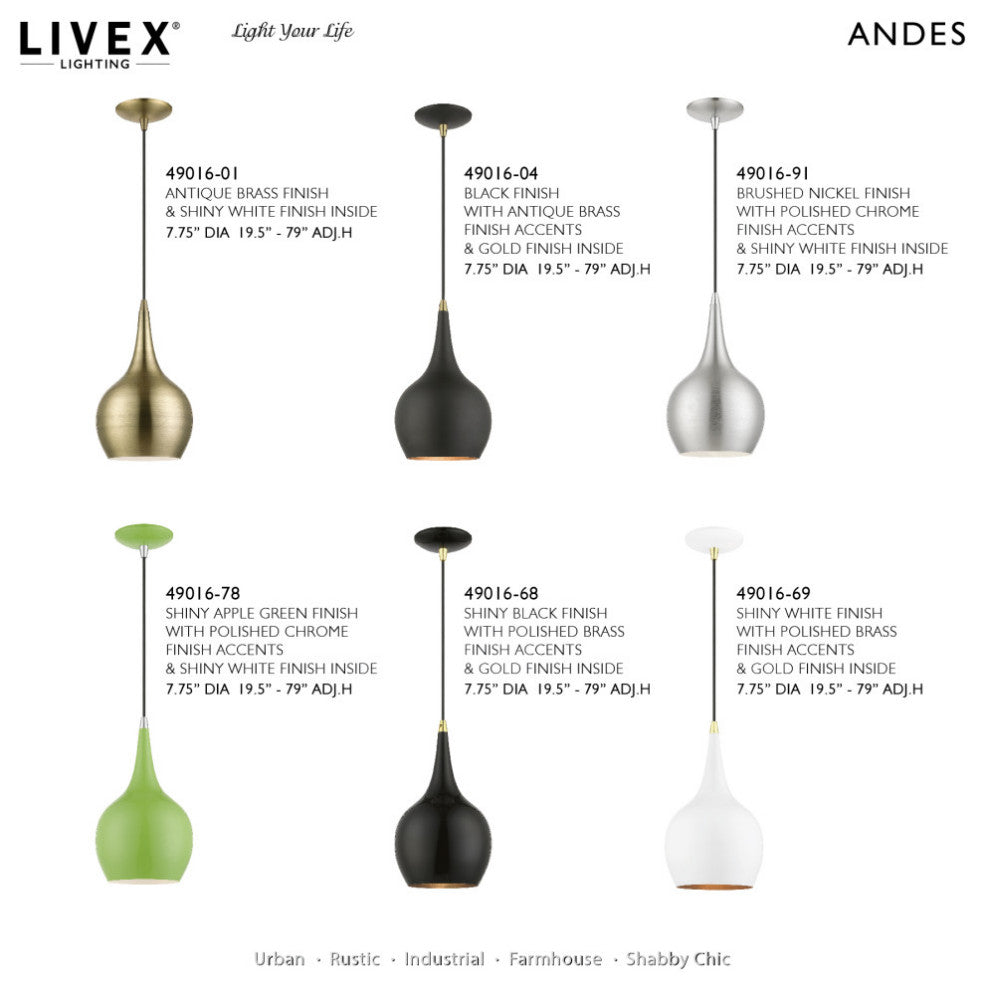 Andes 1 Light Shiny Black With Polished Brass Accents Mini Pendant