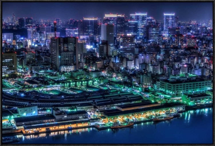 "Tokyo" Framed Canvas Giclee by Tomoshi Hara, 37x25"