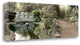 "Golden Gate Park - 11" By Alan Blaustein, Giclee Print on Gallery Wrap Canvas