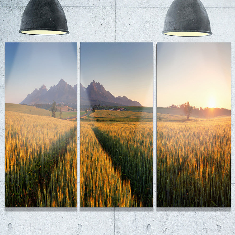 "Summer Wheat Fields Slovakia" Metal Wall Art, 3 Panels, 36"x28"