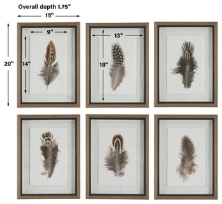 Uttermost Birds Of A Feather Framed prints, 6-Piece Set