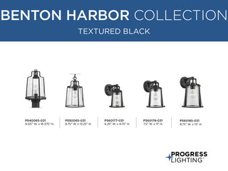 Benton Harbor Collection 1-Light Hanging Lantern with DURASHIELD