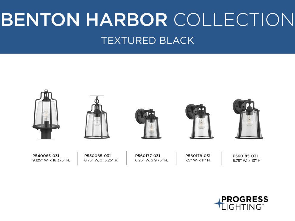 Benton Harbor Collection 1-Light Hanging Lantern with DURASHIELD