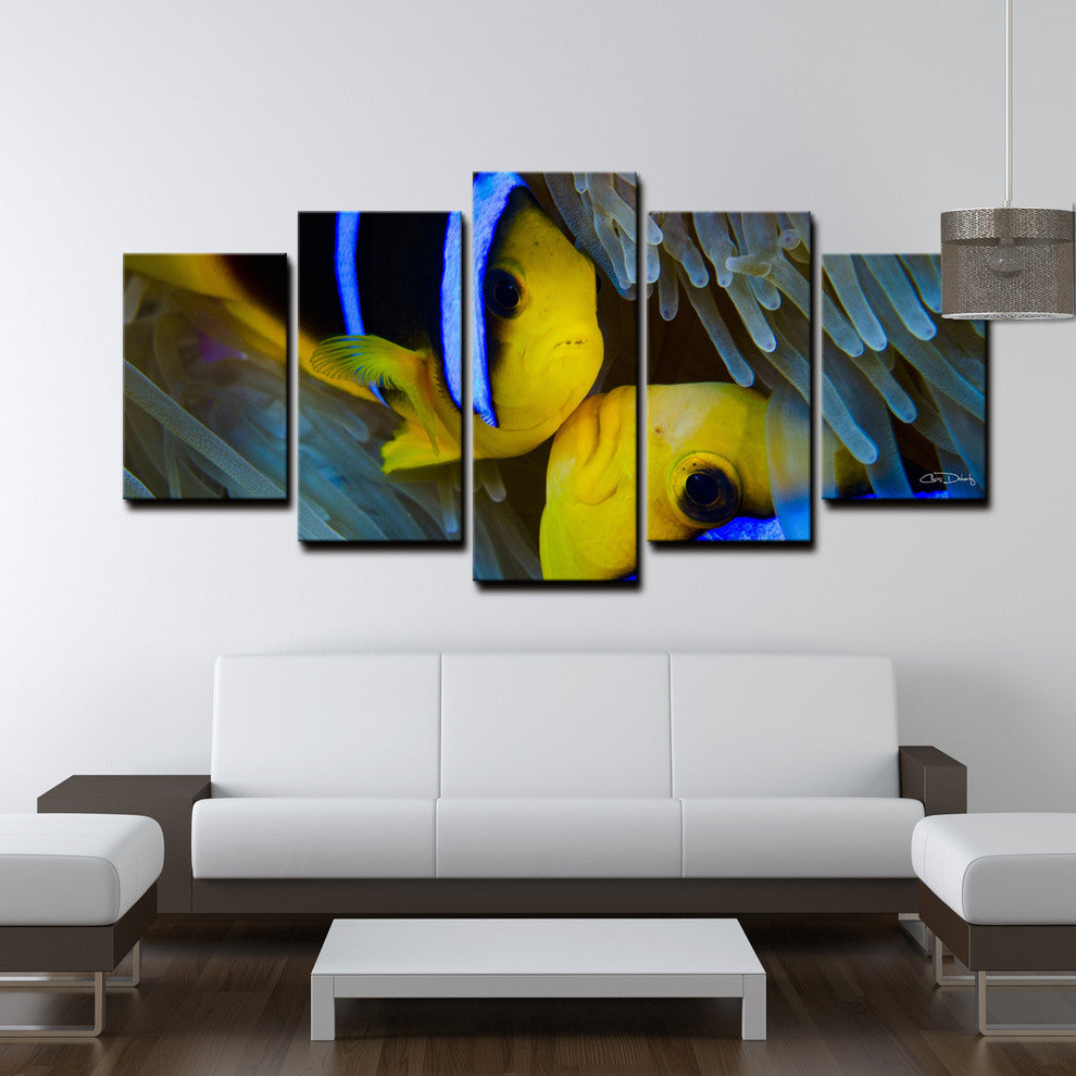 Ready2hangart Chris Doherty ''Underwater Rays Duo'' 5-piece Canvas Wall Art