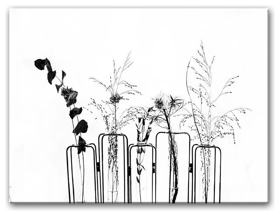 Black Flowers on White Background' Canvas Wall Decor