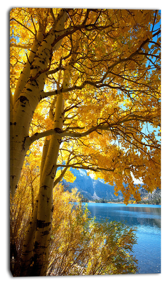 Bright Yellow Autumn Tree, Oversized Landscape Canvas Art, 16"x32"