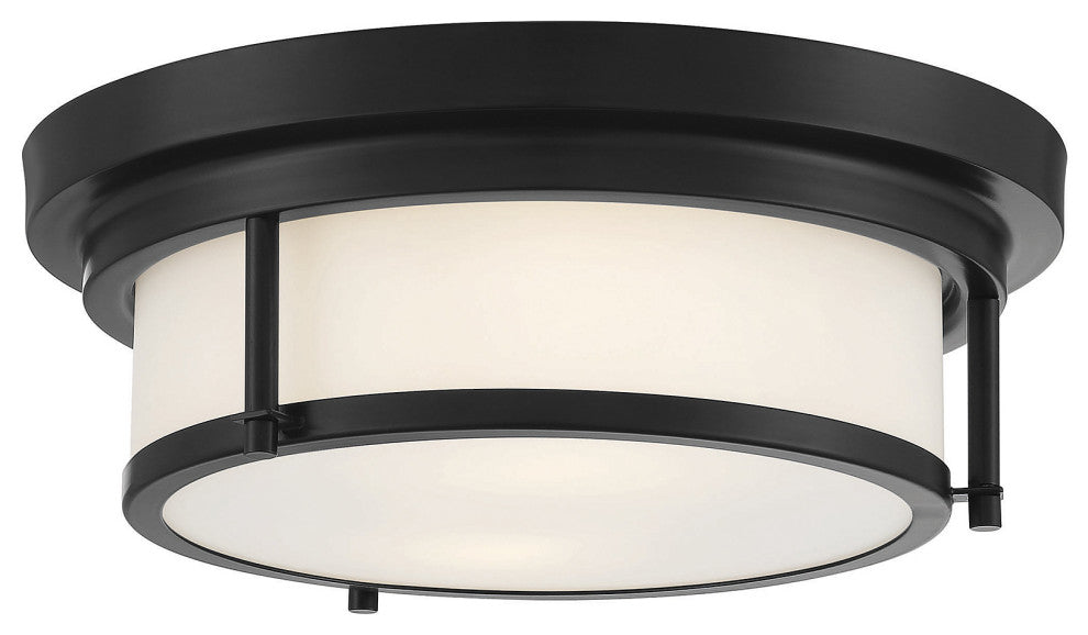 2-Light Ceiling Light, Matte Black