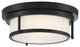 2-Light Ceiling Light, Matte Black