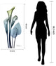 "Calia Lily" Frameless Free Floating Panel Graphic Wall Art, 24"x48"