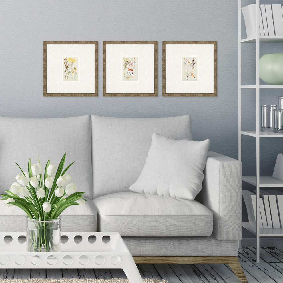 Antique Botanical II, 3-Piece Set Framed Art