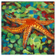 Painted Starfish on Seaglass 16x16 Canvas Wall Art