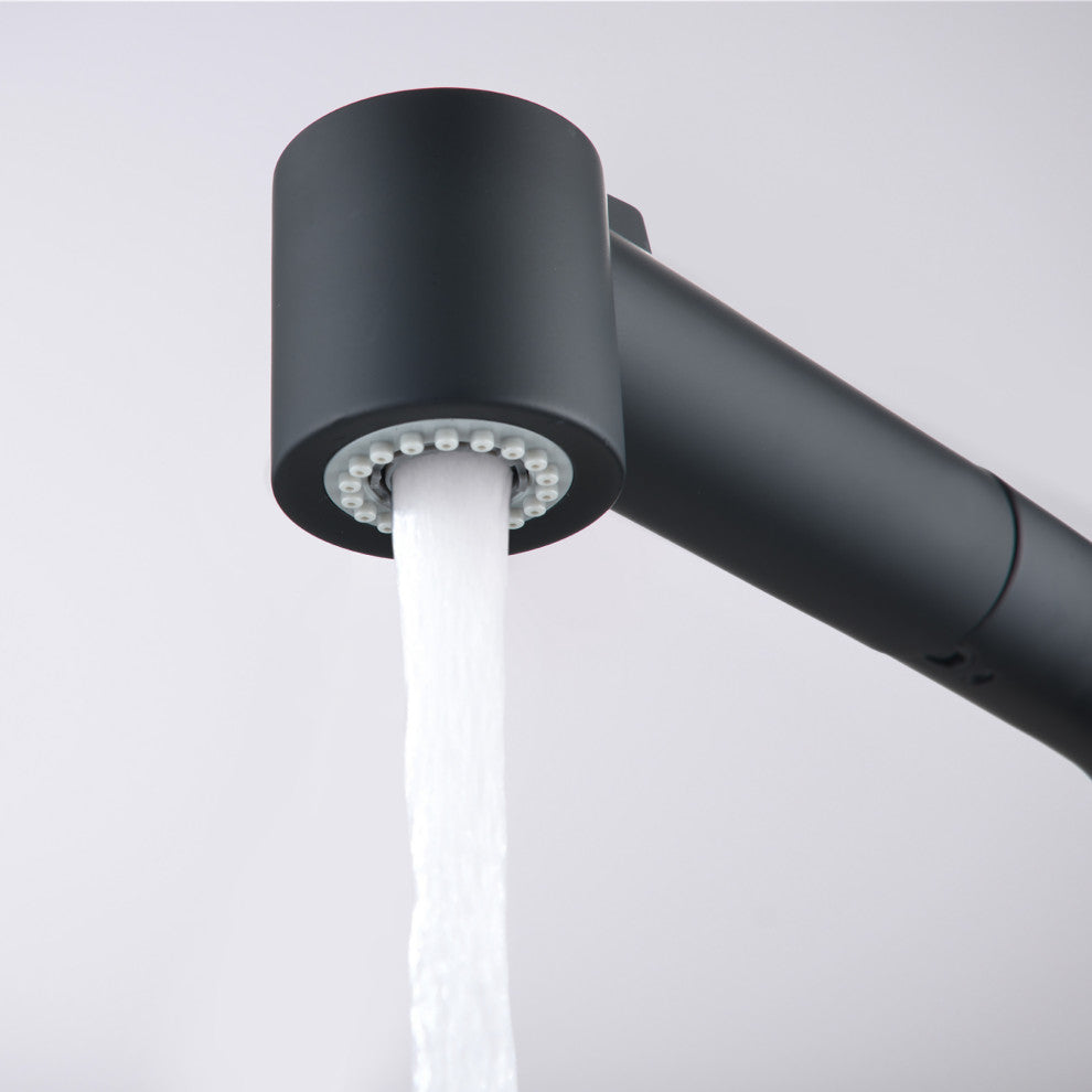 Single Handle Deck Mounted High Arc Pull Out Kitchen Faucet, Matte Black