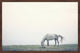 Marmont Hill, "Lone Horse Grazing" Framed Painting Print, 36x24