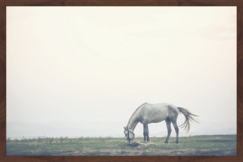 Marmont Hill, "Lone Horse Grazing" Framed Painting Print, 36x24