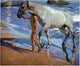 Joaquin Sorolla Y Bastida The Horse Bath, 20"x25" Gallery Wrapped Canvas
