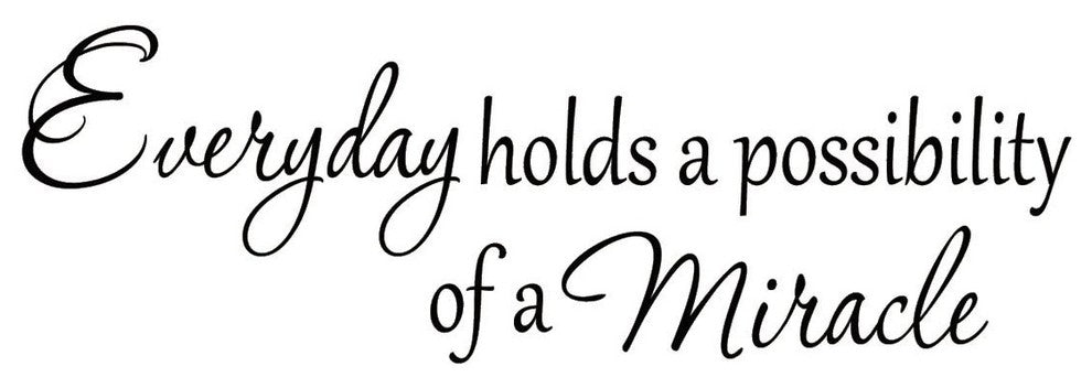 VWAQ Everyday Holds a Possibility of a Miracle Wall Decal Inspirational Quotes