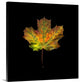 "Transition" Wrapped Canvas Art Print, 16"x16"x1.5"
