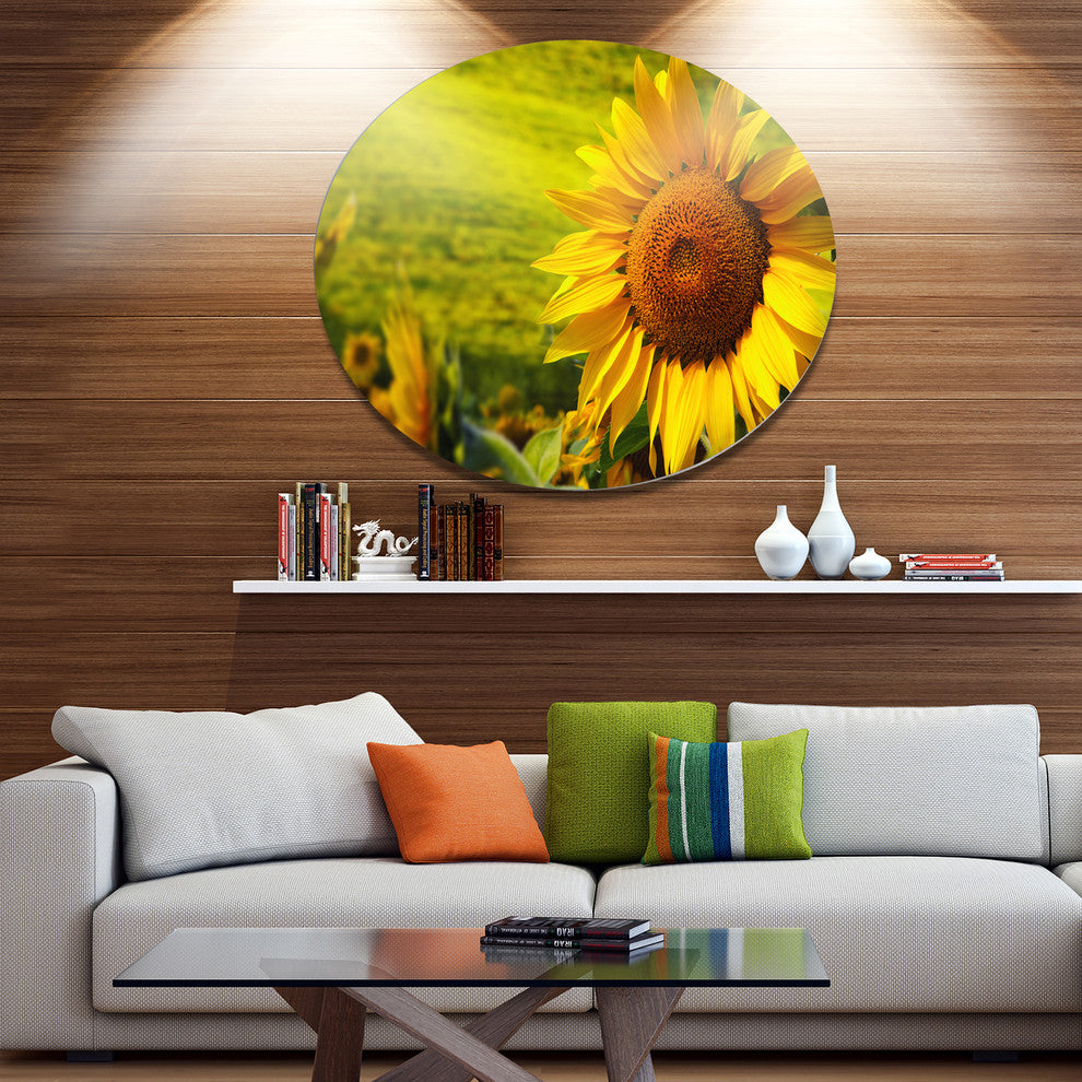 Tuscany Sunflowers On Green, Modern Floral Disc Metal Artwork, 23"