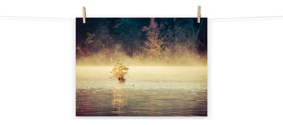 Golden Mist on Waples Pond Landscape Photo Unframed Wall Art Print, 18" X 24"