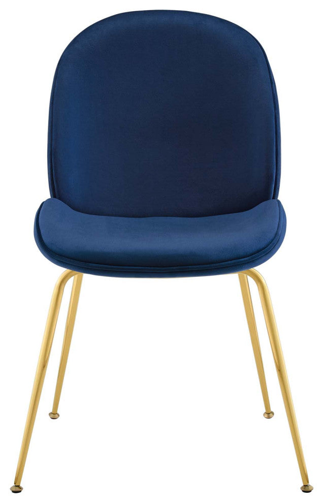 Navy Scoop Gold Stainless Steel Leg Performance Velvet Dining Chair