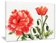 "Red Poppies" Canvas Print, 20"x12"