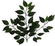 Artificial Deluxe Ficuse Spray 3-Stem With 42 Leaves