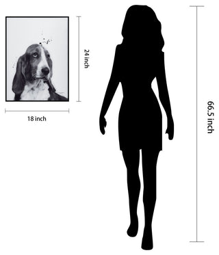 "BasSet Hound" Black & White Pet Paintings on Printed Glass With Anodized Frame