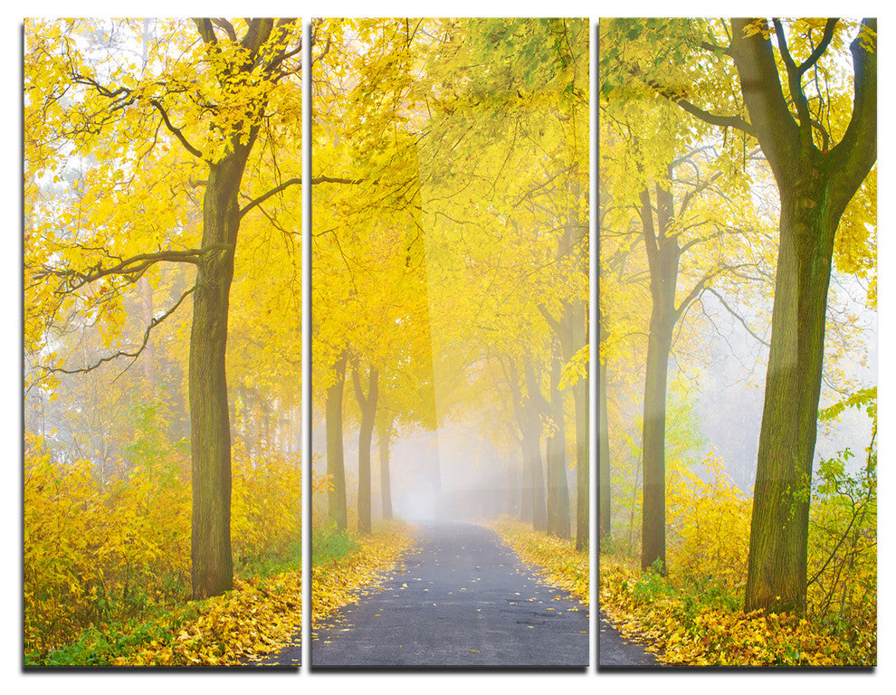"Misty Road in Yellow Autumn Forest" Photo Metal Wall Art, 3 Panels, 36"x28"