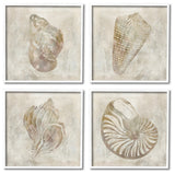 Vintage Nautilus Seashells Soft Brown Patterned Aquatic Animals,12 x 12