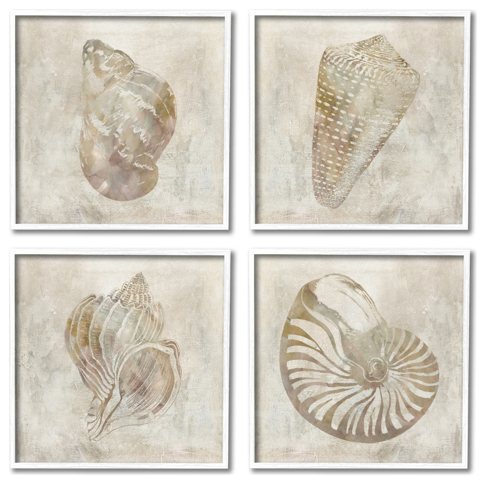 Vintage Nautilus Seashells Soft Brown Patterned Aquatic Animals,12 x 12