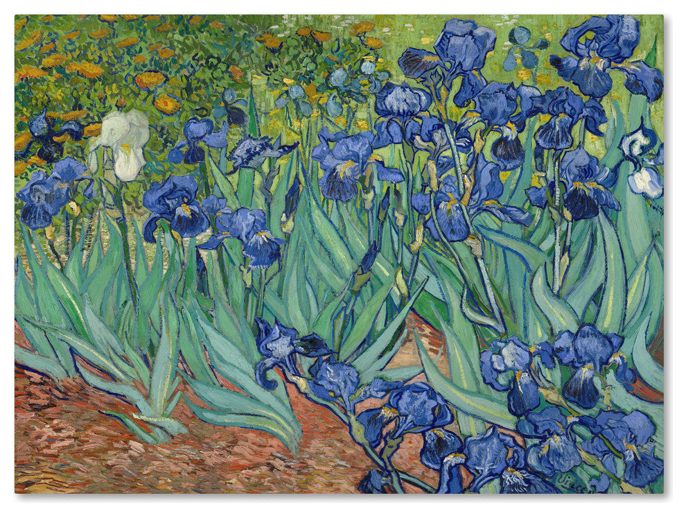 Vincent van Gogh ''Irises 1889'' Canvas Art, 47x35