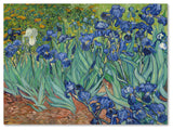 Vincent van Gogh 'Irises 1889' Canvas Art, 47x35