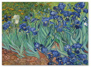 Vincent van Gogh 'Irises 1889' Canvas Art, 47x35
