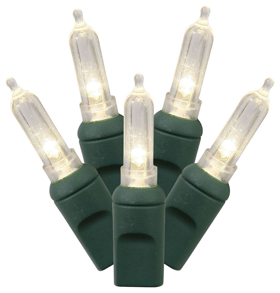 Vickerman X6G7501 50 Warm White Italian Led, 25' Christmas Single Light Strand