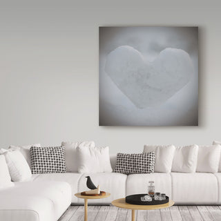 "Heart of Ice" by Christine Sainte-Laudy, Canvas Art