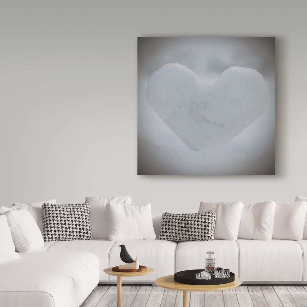 "Heart of Ice" by Christine Sainte-Laudy, Canvas Art