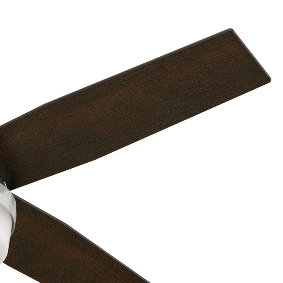 Hunter Fan Company 52" Dempsey LP Brushed Nickel Ceiling Fan With Light/Remote