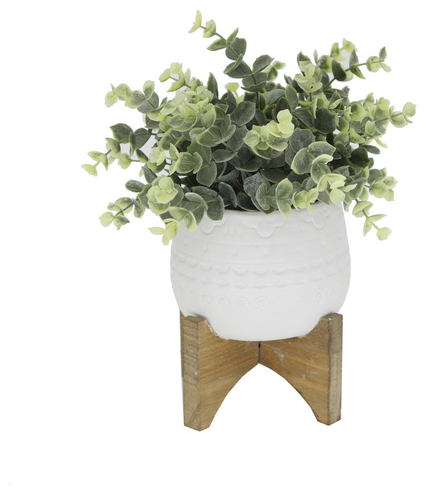Full product on a uniform white background showing the entire eucalyptus plant in a white ceramic pot on a wood stand; no text or diagrams.