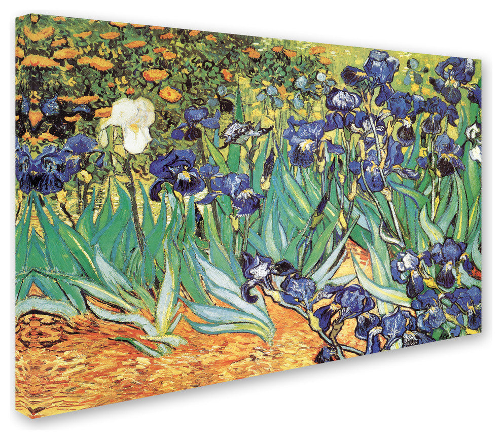 Vincent van Gogh 'Iris Garden' Canvas Art, 47 x 30