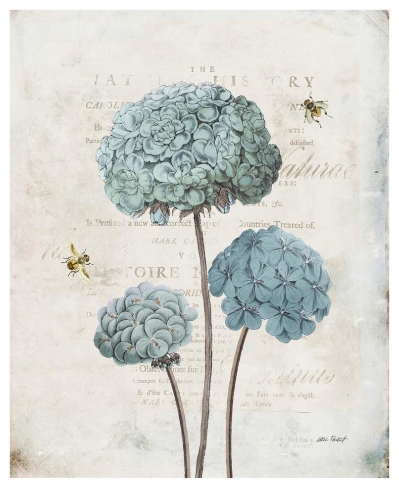 "Geranium Study I" Digital Paper Print by Katie Pertiet, 22"x26"