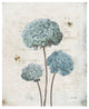 "Geranium Study I" Digital Paper Print by Katie Pertiet, 22"x26"