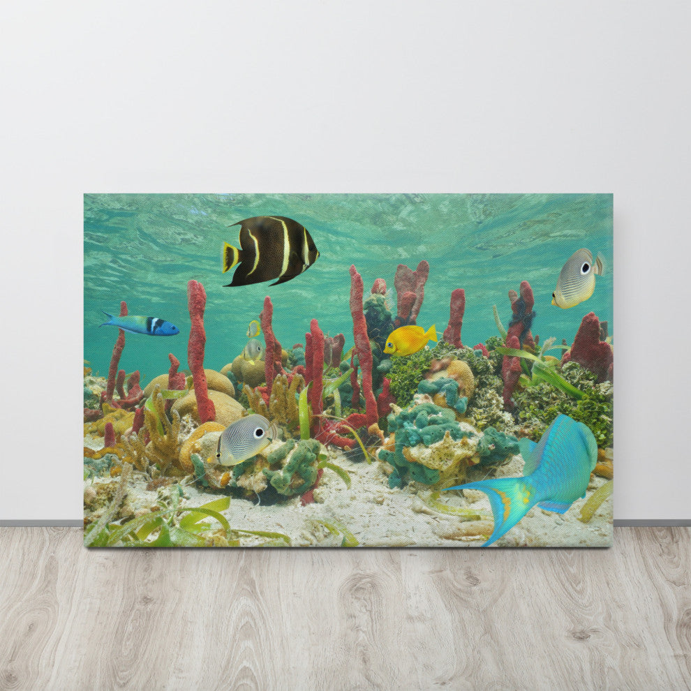 Colorful Tropical Fish Marine Life Coral Reef Wildlife Photo Canvas Art Print, 24" X 36"