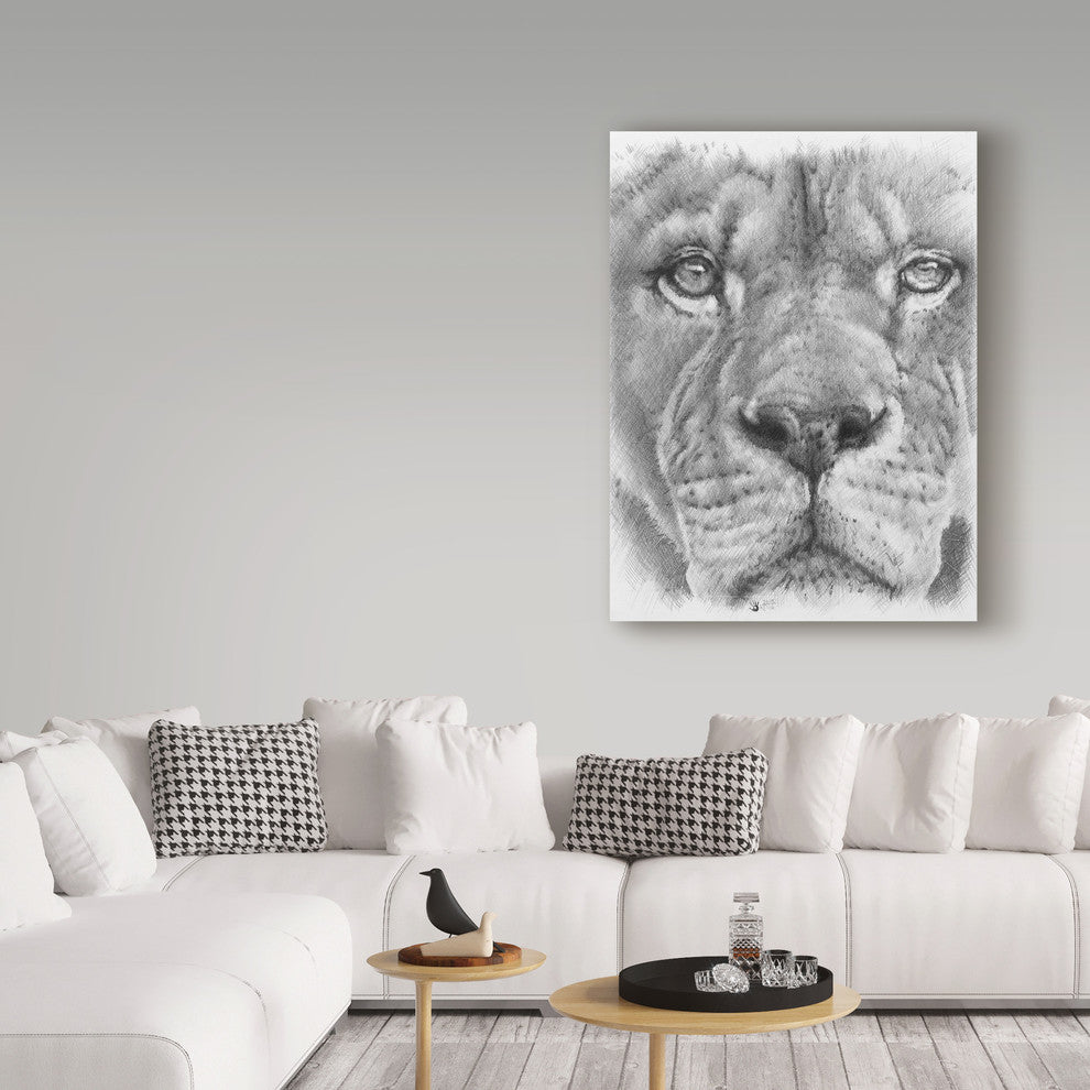 "Up Close Lion" by Barbara Keith, Canvas Art