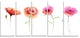 Watercolor Poppy Flowers Sketch, Flower Artwork on Canvas, 60"x28", 5 Panels