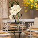 Amphora Vase on Wire Wrap Metal Tripod Stand, Clear