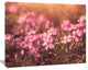 Violet Flowers in Vintage Style, Floral Canvas Art Print, 20"x12"