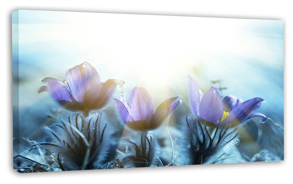 Blooming Blue Spring Flowers, Floral Canvas Art Print, 32"x16"