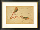 "Pisces, 1825" Framed Digital Print by Jehoshaphat Aspin, 34"x26"