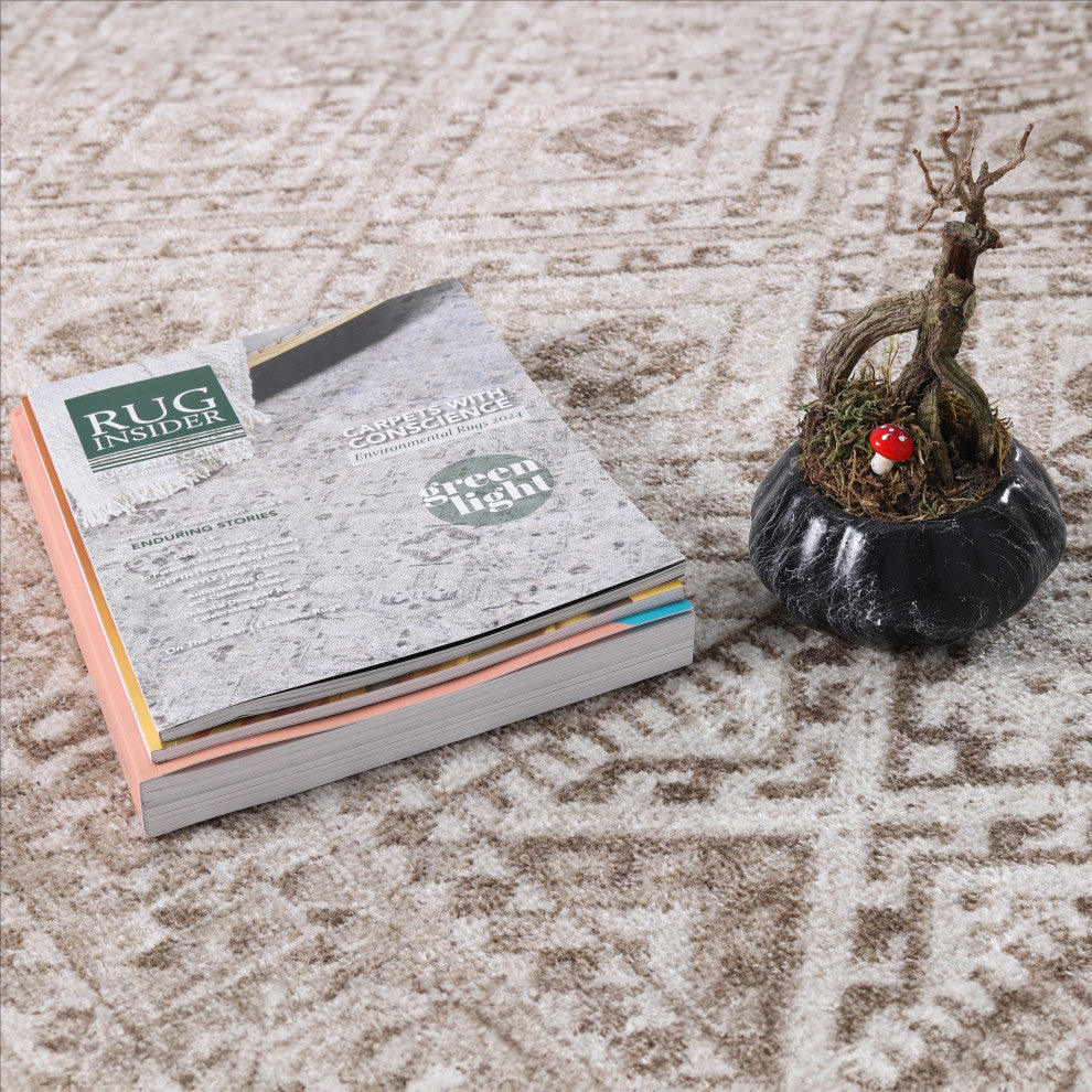 Machine Washable Alden Beige/Brown Rug