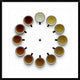 "Tea Time" Framed Digital Print by Wieteke De Kogel, 32"x32"
